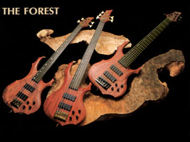 FOREST