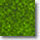 Green Sparkl 