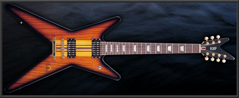 ESP VP-SL7 HALLY Custom