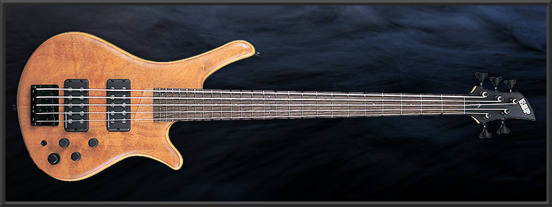 ESP WS -190 Custom-