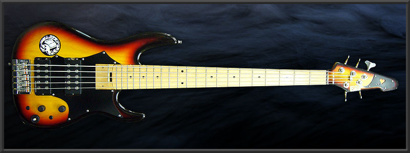 ESP AP -190 Custom-
