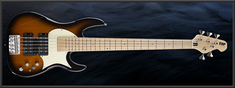 ESP LONG WAY -190 2TS-