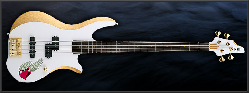 ESP ���� Custom