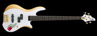 ESP ���� Custom