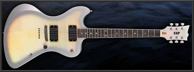 ESP LARRY Model