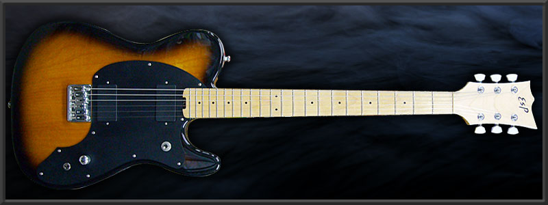 ESP TE-SL LARRY Custom