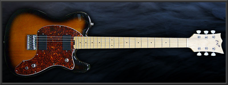 ESP TE-SL LARRY Custom