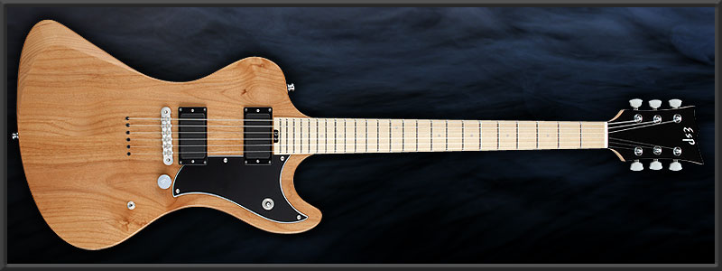 ESP TE-SL LARRY Custom