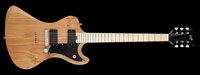 ESP LARRY Model