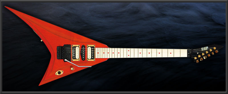 ESP PV -SILVER Arm'or-