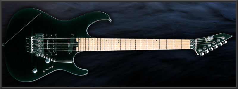 ESP MV Ruiza Custom