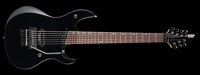 ESP Ruiza Model