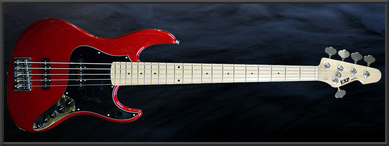 ESP AMAZE-SL5 ���� Custom