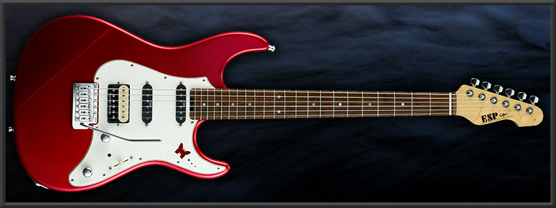 ESP SNAPPER ��ĳ