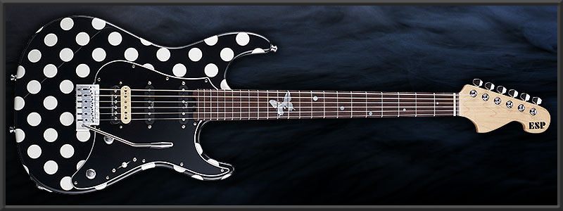 ESP SNAPPER ��ĳ