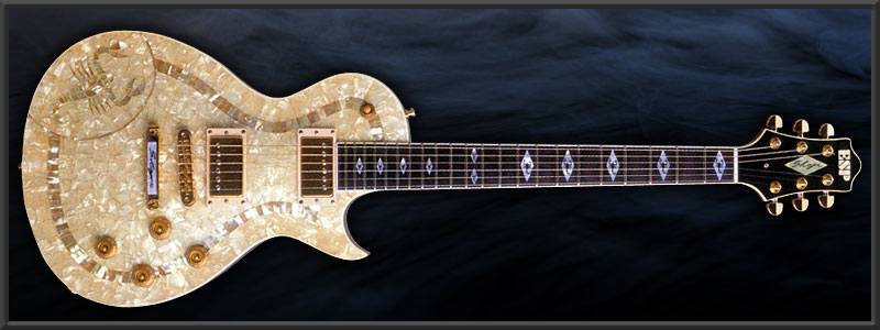 ESP SHOJI Model
