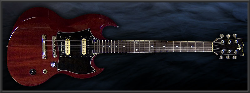 ESP VP SUGA Custom