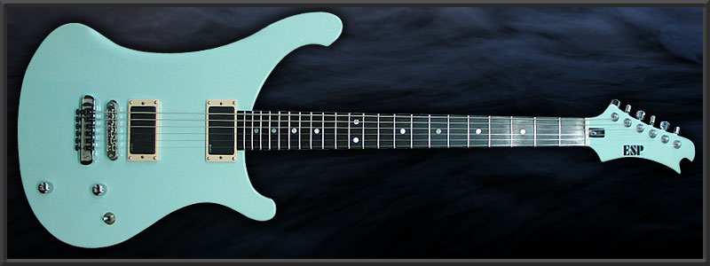 ESP SUZUKI Model