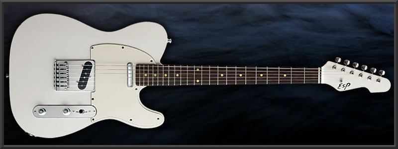 ESP TE Takeiri Custom
