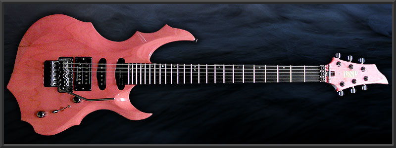 ESP FOREST-GT "もりりん"