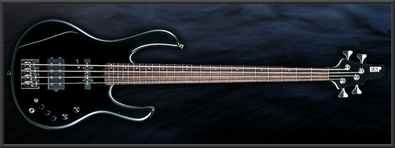 ESP BOTTOM LINE WU-CHY Custom