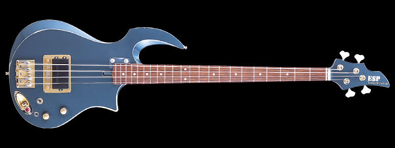 ESP INTERCEPTER