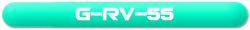 G-RV-55