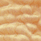 Natural Translucent / Maple FB