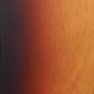 2 Tone Sunburst