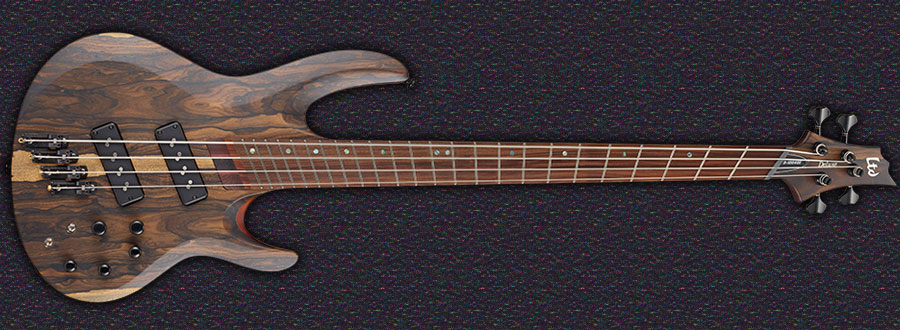 B-1004SE MULTI-SCALE