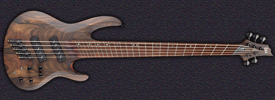 B-1005SE MULTI-SCALE