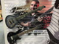 Signature Model