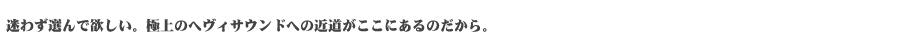 迷わず選んで欲しい。極上のへヴィサウンドへの近道がここにあるのだから。