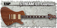 STREAM-GT Custom
