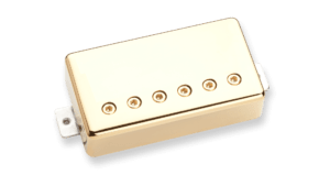Gold Cover ※1