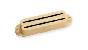 Ivory ※1