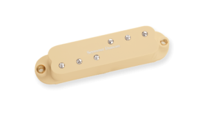 Ivory ※1