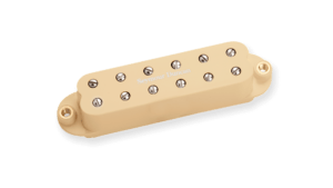 Ivory ※1