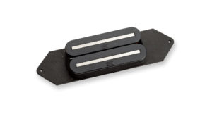 Rickenbacker Bass Bridge