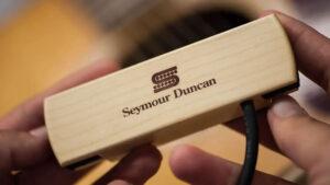 Woody Hum Canceling