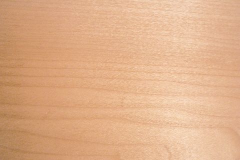 ソフトメイプル
