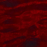 HORIZON-CTM NT/FM