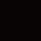 AP/M