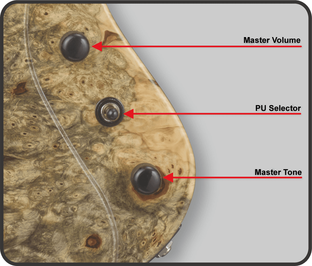 STREAM-GT Custom Buckeye Burl