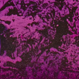 HORIZON-PT NT