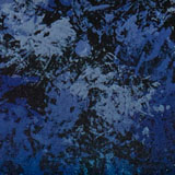 HORIZON-PT NT