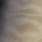 HORIZON FR QM
