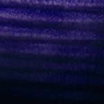FRX FM