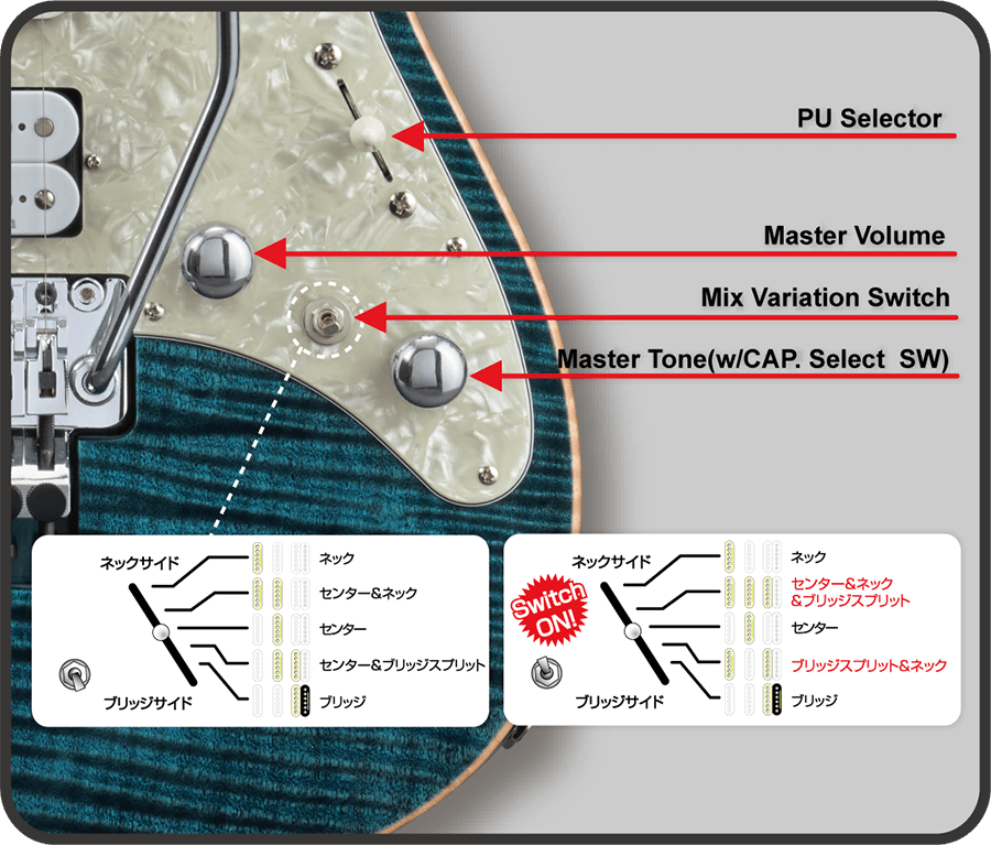 SNAPPER-CTM24-FR-FM/M