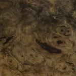 STREAM-GT Custom Buckeye Burl